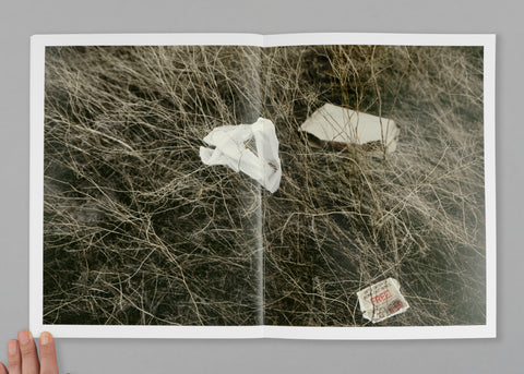 Entangled