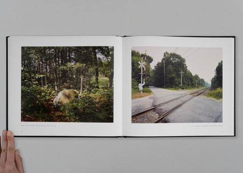 Accommodating Nature: The Photographs of Frank Gohlke