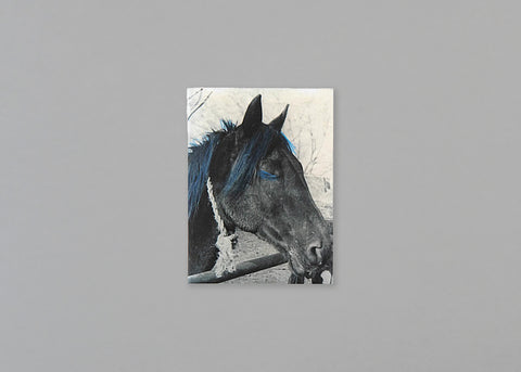 From Blaue Horse 'Till Now Days