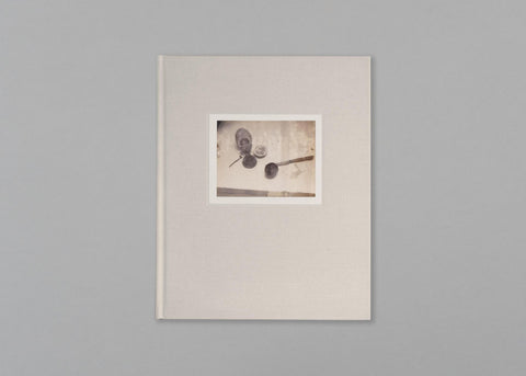Time’s Assignation, The Polaroids