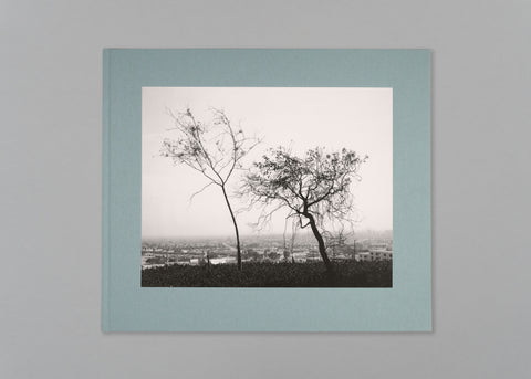 Los Angeles Spring