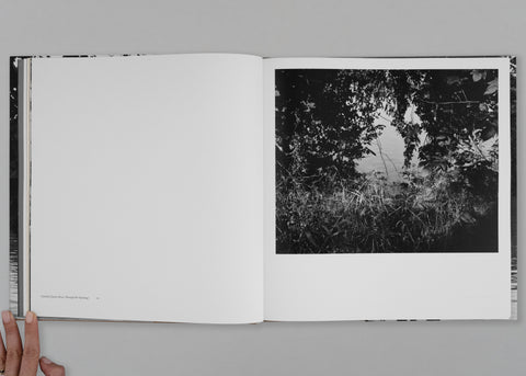 Elegy