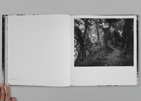 Elegy