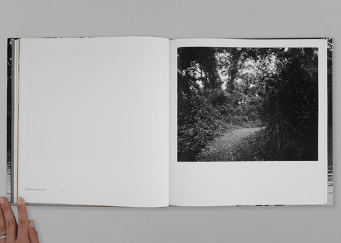 Elegy