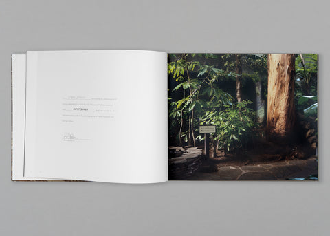 Presence: The Invisible Portrait