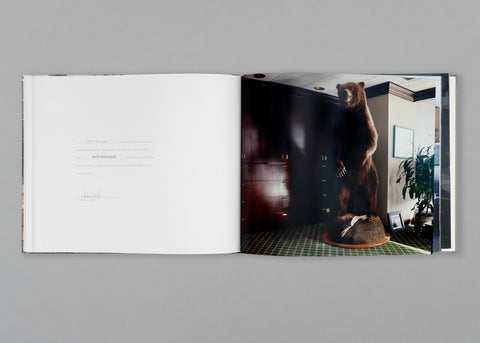 Presence: The Invisible Portrait