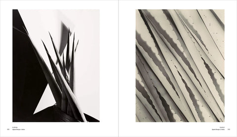 A Retrospective