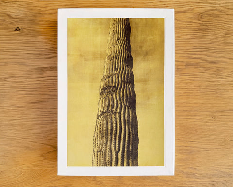 Desert