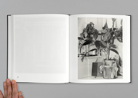 American Photographs