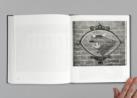 American Photographs