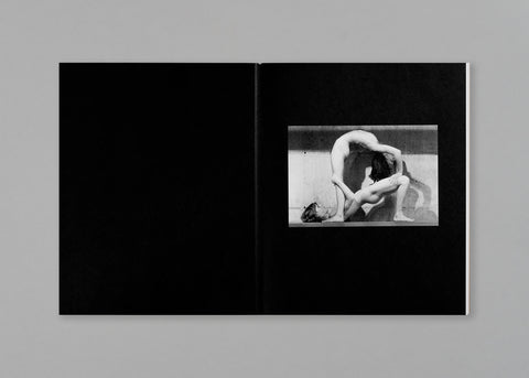 Tee A. Corinne: A forest fire between us