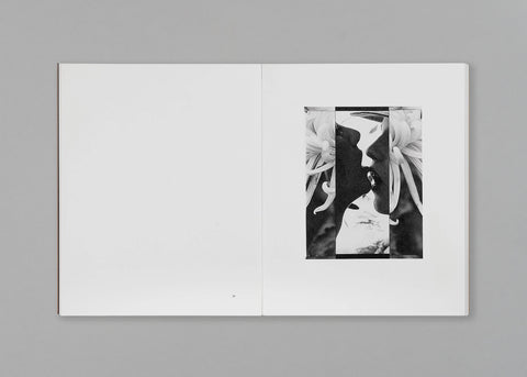Tee A. Corinne: A forest fire between us