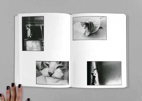 Retrospective