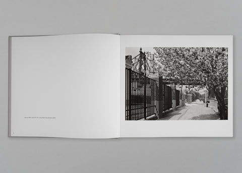 Landscape as Longing: Queens, New York