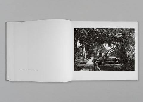 Landscape as Longing: Queens, New York