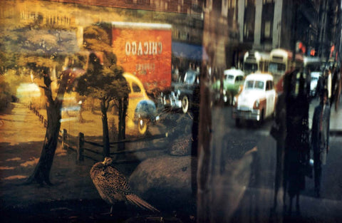 New York in Color 1952-1962
