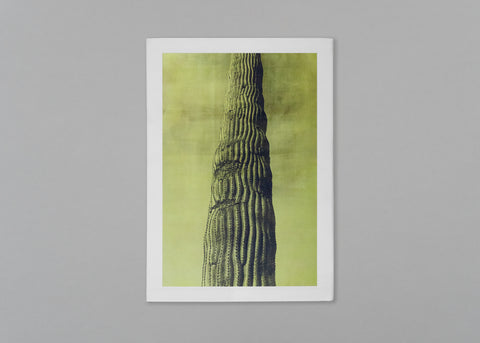 Desert