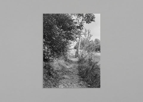 Soft Copy 004