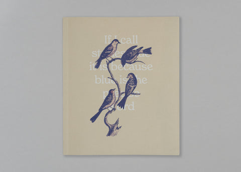 If I call stones blue it is because blue is the precise word