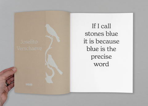 If I call stones blue it is because blue is the precise word
