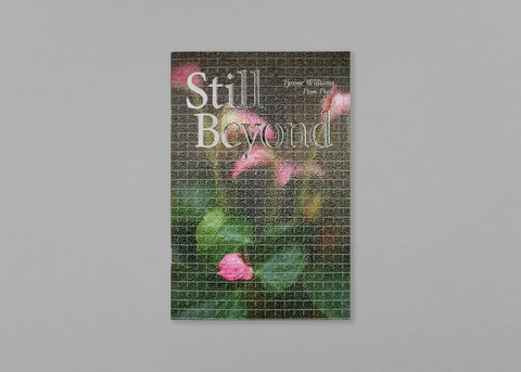 Still Beyond